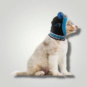 NFL Carolina Panthers Team Pet Knit Hat Large NWT!